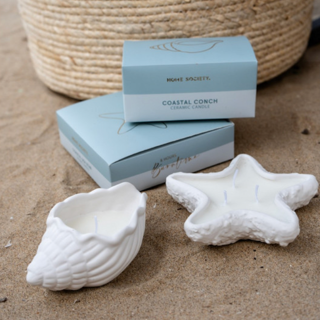 Coastal kaars | schelp | zeester