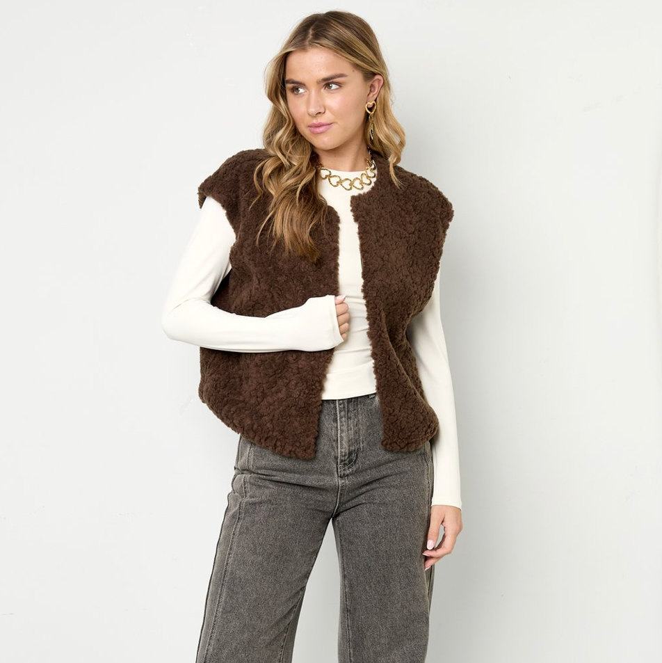 Teddy Gilet | Bruin