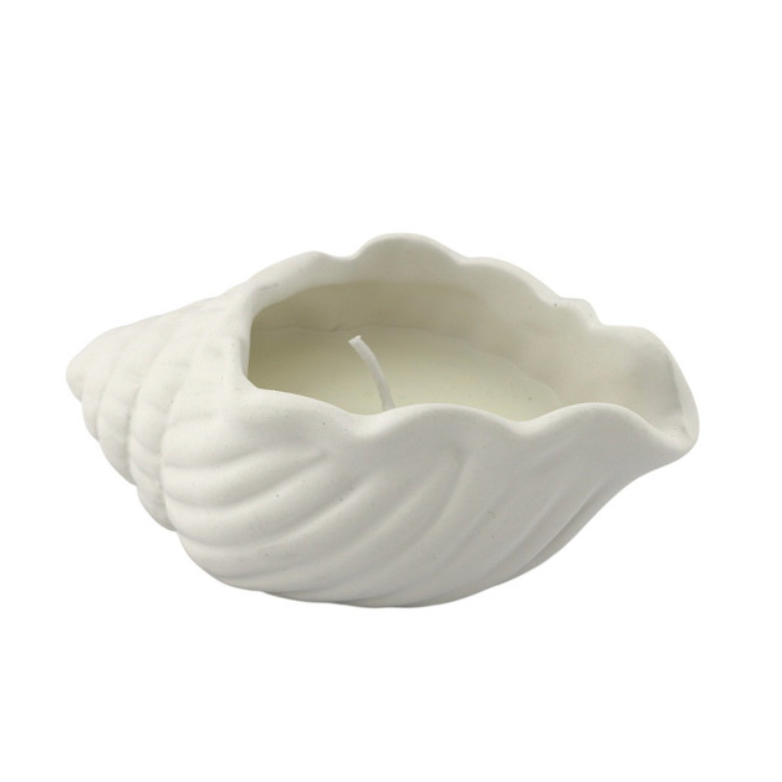 Coastal kaars | schelp