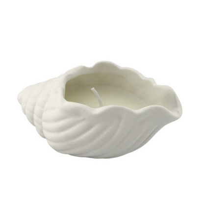 Coastal kaars | schelp