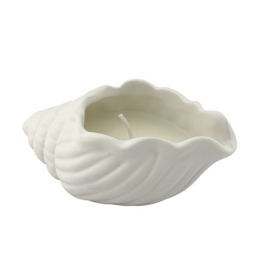 Coastal kaars | schelp