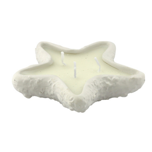 Coastal kaars | zeester