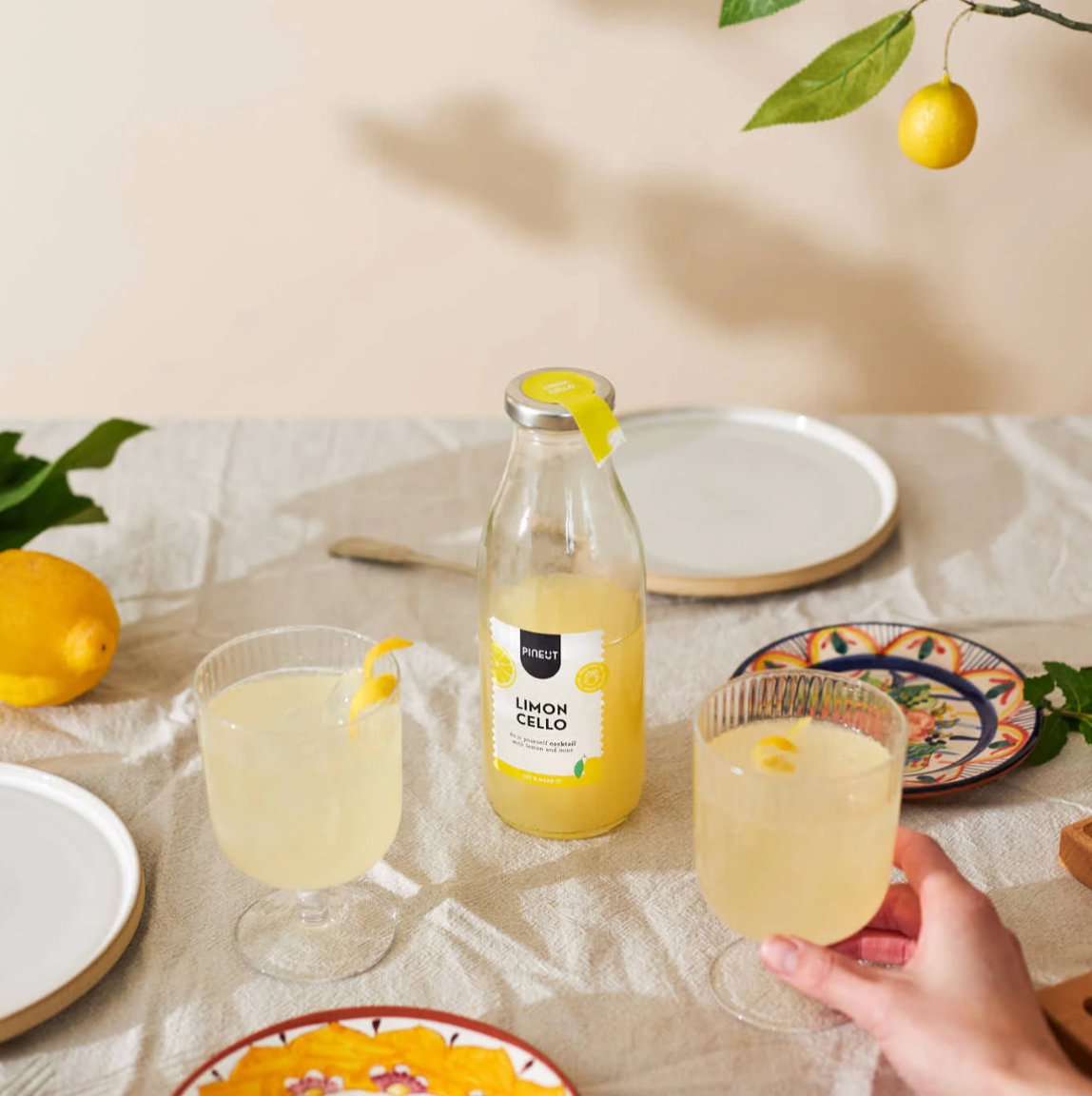 DIY Cocktail Limoncello