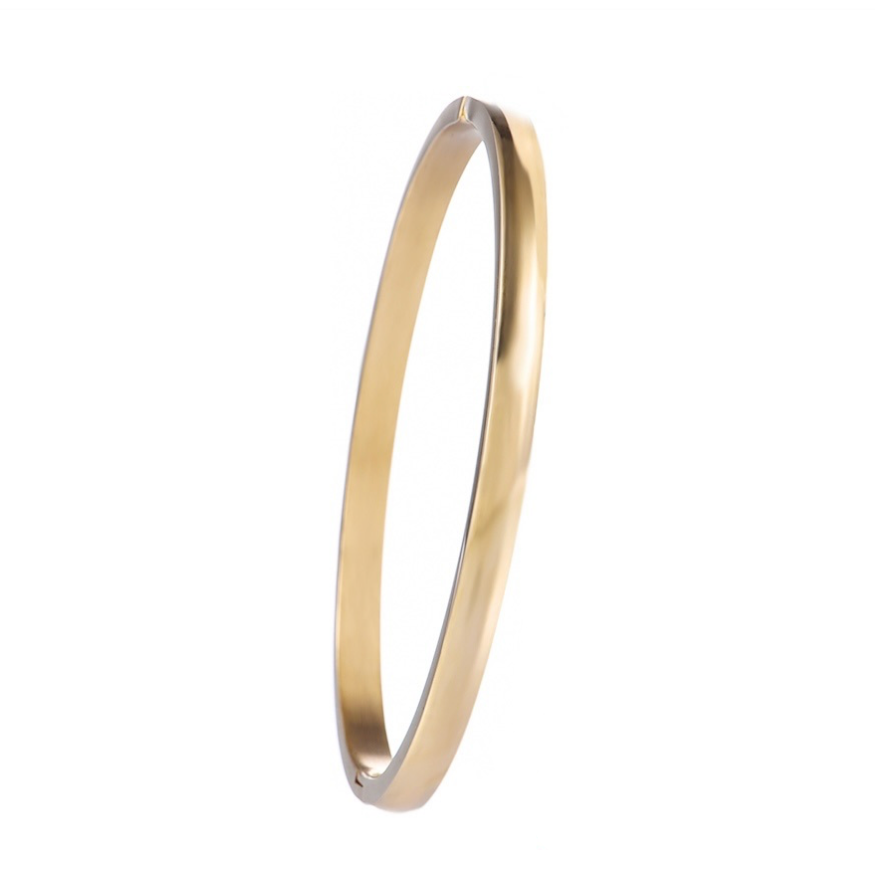 Day&Eve | Classic Bangle | B7100-2