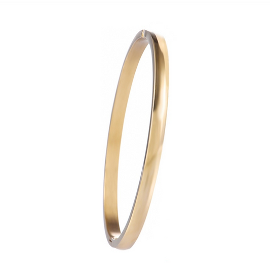 Day&Eve | Classic Bangle | B7100-2