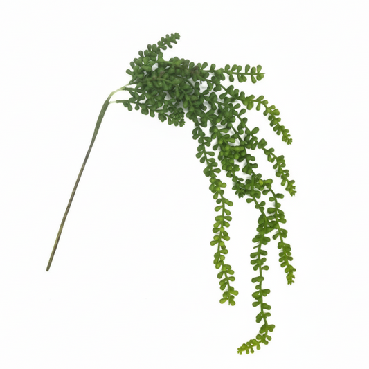 Erwtenplantje
