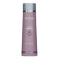 Artistique Orchid Color Shampoo 300ml