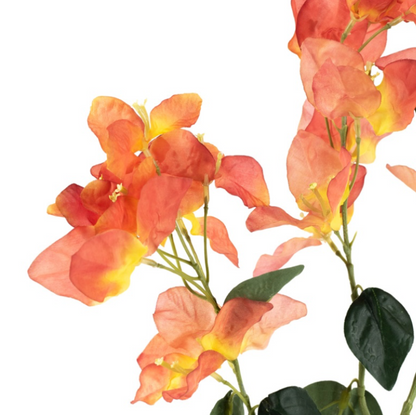 Kunsttak Bougainville 105cm Oranje