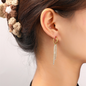 Long Sparkle Hoop E56127-2