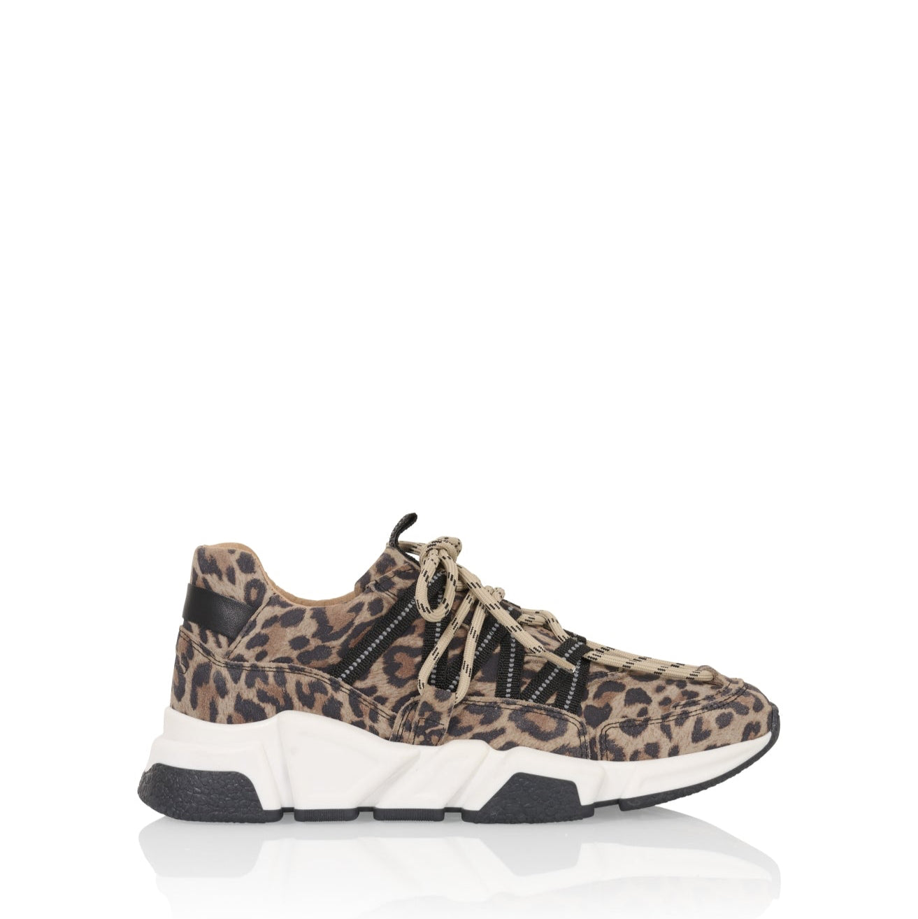 Los Angeles | Leopard