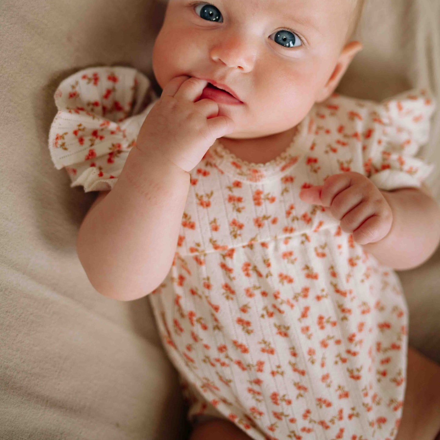 Romper Lisa Pointelle blossom