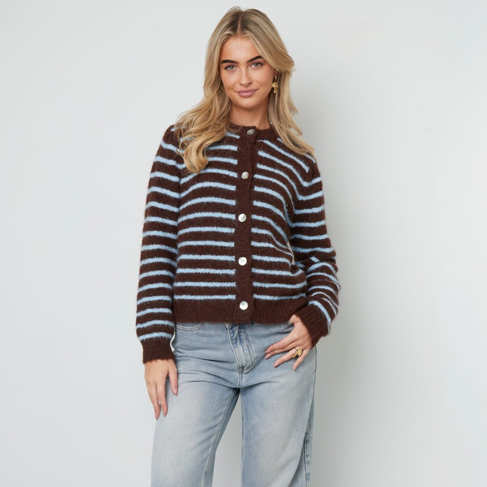 Gebreid vest Strepen | Bruin - Blauw