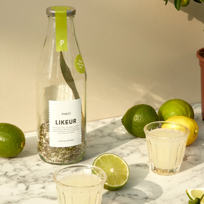 DIY Cocktail | Limoenlikeur | Bottle | BIO