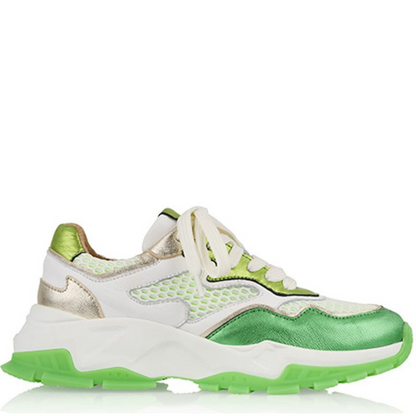 DWRS Sneaker | Chester | White-Green