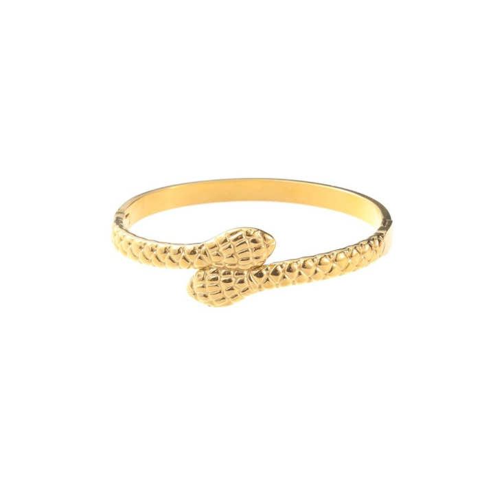 Snake Bangle B56410-2 