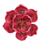 Wandbloem bloem camelia