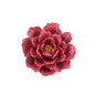 Wandbloem pioenroos rood